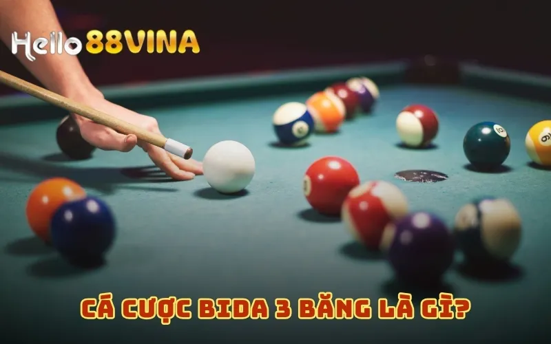 Cá Cược Bida 3 Băng - Trải Nghiệm Mới, Khám Phá Ngay 6 Cá cược Bida 3 băng là gì?