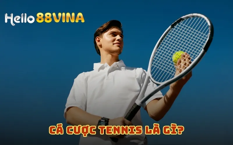 Cá Cược Tennis Và Kinh Nghiệm Hữu Ích Bet Thủ Nên Nắm 6 Cá cược Tennis là gì?