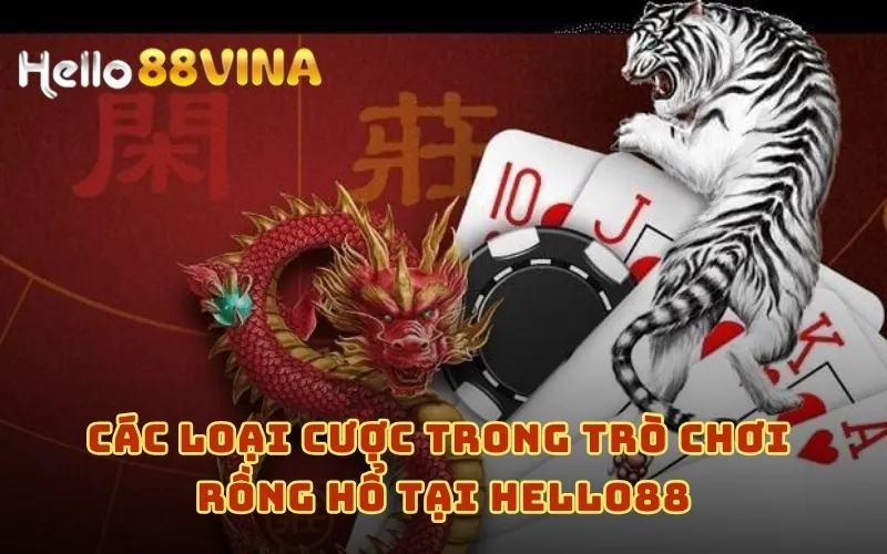 Chơi Rồng Hổ HELLO88 - Trò Chơi Giúp Game Thủ Hốt Bạc Uy Tín 7 Các loại cược trong trò chơi Rồng Hổ tại HELLO88