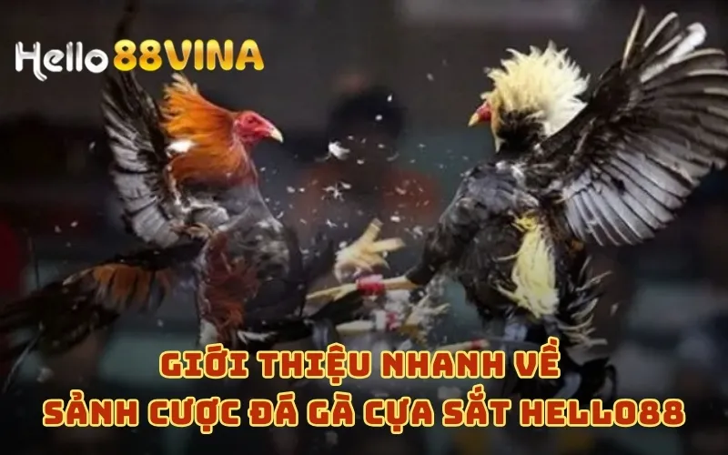 Đá Gà Cựa Sắt Cùng HELLO88 - Thưởng Ngay Nạp Đầu 88k 6 Giới thiệu nhanh về sảnh cược đá gà cựa sắt HELLO88