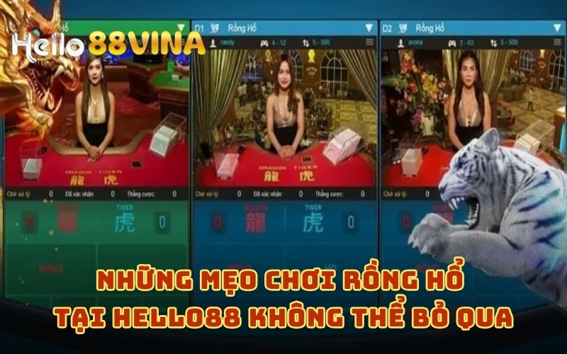 Chơi Rồng Hổ HELLO88 - Trò Chơi Giúp Game Thủ Hốt Bạc Uy Tín 9 Những mẹo chơi Rồng Hổ tại HELLO88 không thể bỏ qua