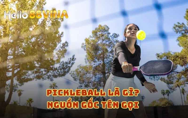 Pickleball Là Gì? Luật Chơi, Cách Tính Điểm Và Đặt Cược 5 Pickleball là gì? Nguồn gốc tên gọi